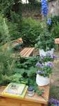 Kräuterhochbeet im Sommer mit Bibel Bilderbüchern