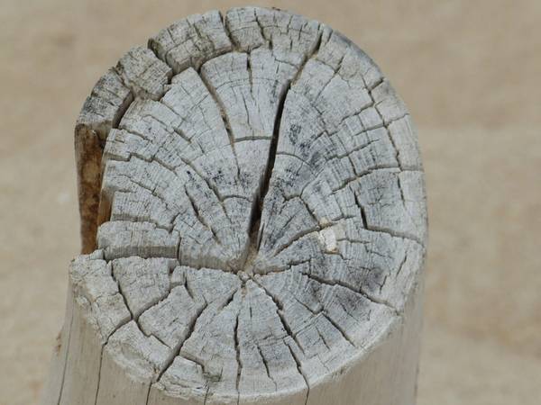 Quelle: Fundus Medien, Thomas Herold